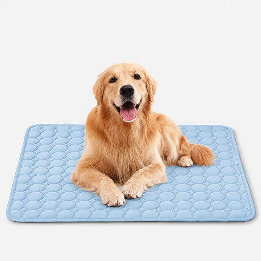 Dog Cooling Mat — Ice Silk Cooling Pad for Dogs & Cats